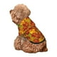 thumbnail image 5 of Balery Vintage maple leaf autumn Sudadera con Capucha para Perros Pequeños – Ropa para Mascotas, Disfraz para Perros y Gatos, Ideal para Fiestas y Cosplay-XX-Large, 5 of 7