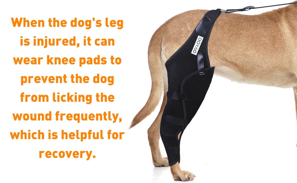 DGXINJUN Dog Knee Leg Brace Knee Cap Dislocation Arthritis Full Wrap Easy Adjustable
