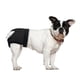 thumbnail image 5 of Calzoncillos fisiológicos para perros femeninos Pañal Calzoncillos sanitarios lavables (Negro L), 5 of 5
