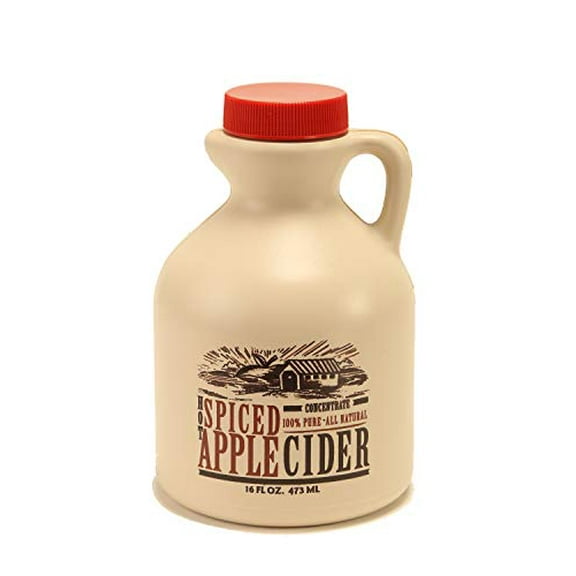 Mountain Cider Spiced Apple Cider Concentrate | Gluten Free, No Preservatives, No Added Sugar | 16 fl. oz (16 servings)