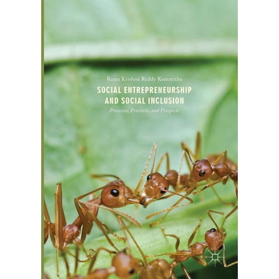 Social Entrepreneurship and Social Inclusion: Processes, Practices, and Prospects, (Paperback)