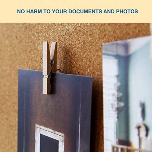 Buy EKR VBLab 50 Count Never Falling Off Push Pin Clips for Bulletin