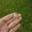 Aventurine, variant on MATROOY 1pc Natural Mini Crystal Quartz Mushroom Hand Carved Gift Reiki Healing-Tigers eye