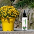 thumbnail image 6 of Weloille 100ml Plant Enzymes for Outdoor & Indoor Houseplants - Hydroponic Plant Food for Increased Nutrients - Bloom Booster Fertilizer & Root Stimulator for Plants, 6 of 8