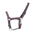 thumbnail image 1 of Hy Two Tone Horse Headcollar, 1 of 1