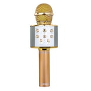 MABOTO Professional BT Wireless Microphone Karaoke Speaker KTV Music Player Singing Recorder Handheld Microphone Gold