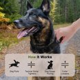 thumbnail image 6 of Unique Bargains Dog Collar Waterproof Tactical Dog Collar with Control Handle and Zinc Alloy Buckle Dog Collar for AirTag Medium Large Dogs XLarge Black (Includes Screwdriver Accessories), 6 of 6