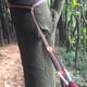 thumbnail image 2 of Correas de Hamaca de 2 Uds Perfecl Negro 280 cm, 2 of 8