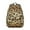 Leopard Print-2, variant on Leopard Print Backpack for School,Cute School Bag,Schoolbag with Adjustable Shoulder Straps & Padded Back,15.3"x11"x7.1".﻿