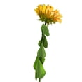 thumbnail image 2 of Girasol decorativo grande Creaciones Dekora  146cm, 2 of 5