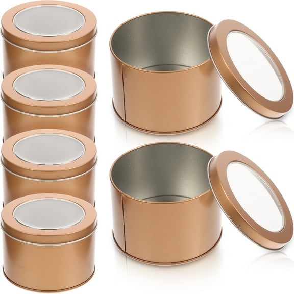 6Pcs Metal Flower Bucket Decorative Compact Plants Pot Succulents Planter for Garden