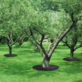 thumbnail image 4 of Tree Mulch Ring Cover Non Woven Plant Protector Mat for Outdoor Plant Landscaping Gardening Ground Protection 1 Pc, 4 of 6