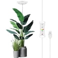 thumbnail image 1 of Plant Grow Light LED Growing Light Full Spectrum for Indoor Plants Height Adjustable Automatic Timer V Low Voltage Idea for Large Plant Light, 1 of 5
