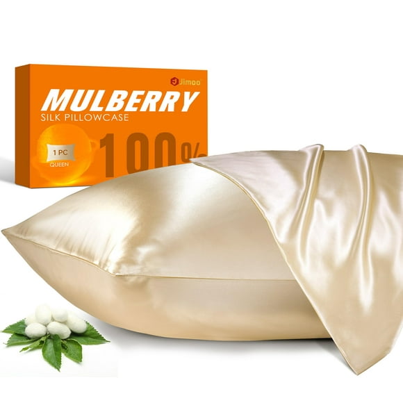 100% Mulberry Silk Pillowcase for Hair and Skin, 22 Momme Natural Silk Pillow Case with Zipper, Both Sided Pure Silk Pillow Cover for Women Mom Men (Beige, Standard 20\'\'?26\'\')