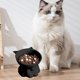 thumbnail image 4 of Campana Para Cocina Cats Food Bowl Large Capacity Pet Food Bowl Cute Drinking Bowl For Cats To Protects The Neck, 4 of 6