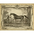 thumbnail image 2 of Unknown 32x26 White Modern Wood Framed Museum Art Print Titled - Distinguished Horses IV, 2 of 4