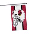 thumbnail image 1 of Casco Flag FOCO Arizona Cardinals de la NFL, horizontal, 1 of 1