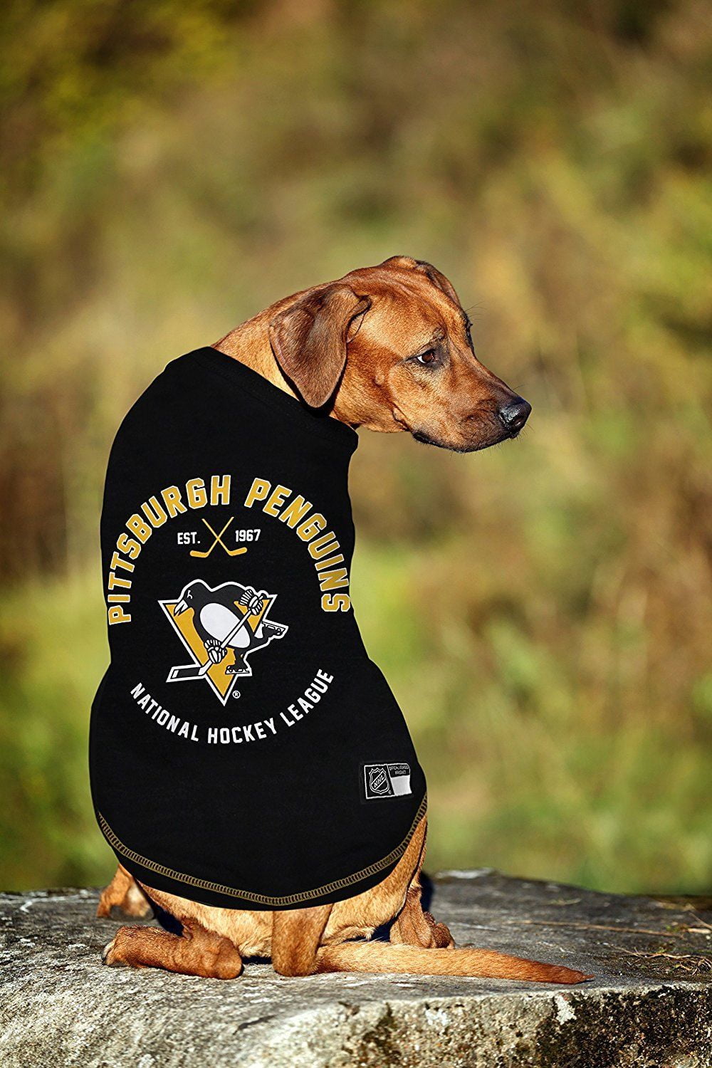 Pets First NHL Pittsburgh Penguins T-Shirt - Licensed, Wrinkle-free, stretchable Tee Shirt for Dogs & Cats