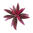 thumbnail image 3 of 1PCS Artificial Dracaena Fake Plants for Bedroom Decorations for Living Room Decor Ative Plants Fake Potted Plants Adornos para Sala Home Decor(Fuchsia), 3 of 10