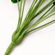thumbnail image 3 of Plantas artificiales Advancent en macetas 12 50 carey, 3 of 6
