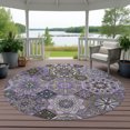 thumbnail image 6 of Addison Rugs Chantille Indoor/Outdoor Transitional Americana Purple Machine Washable Round Rug, 8' x 8', 6 of 7
