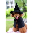 thumbnail image 1 of Disfraz de bruja/mago con capucha para perros medianos, 1 of 4