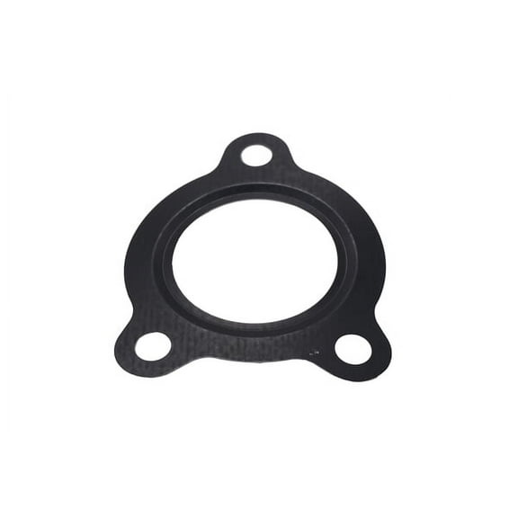 Exhaust Gas Recirculation (EGR) Valve Cooler Gasket