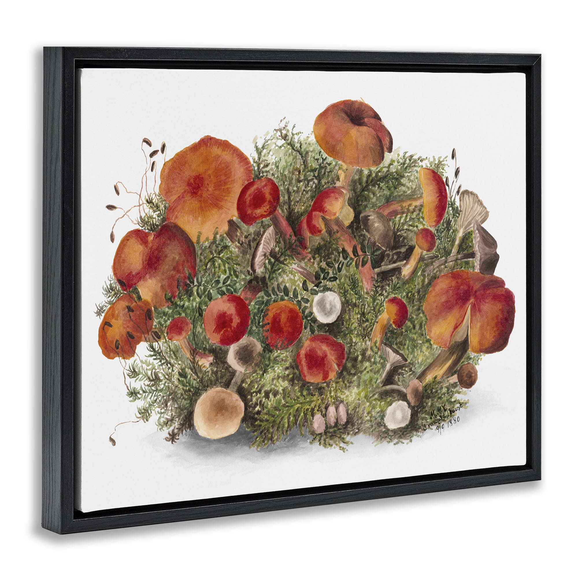 Stupell Industries Rustic Cottage Mushrooms Botanical & Floral Painting Black Floater Framed Art Print Wall Art, 31 x 25