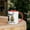 Red, variant on Wake Up Queen Color Inside Mugs Collection by Satin Kush Sentimentals (11oz, Red)