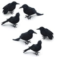 thumbnail image 4 of Hbdhejl 6 Pcs Décoration d'Halloween Plumes Noires Réalistes Oiseaux, 4 of 7