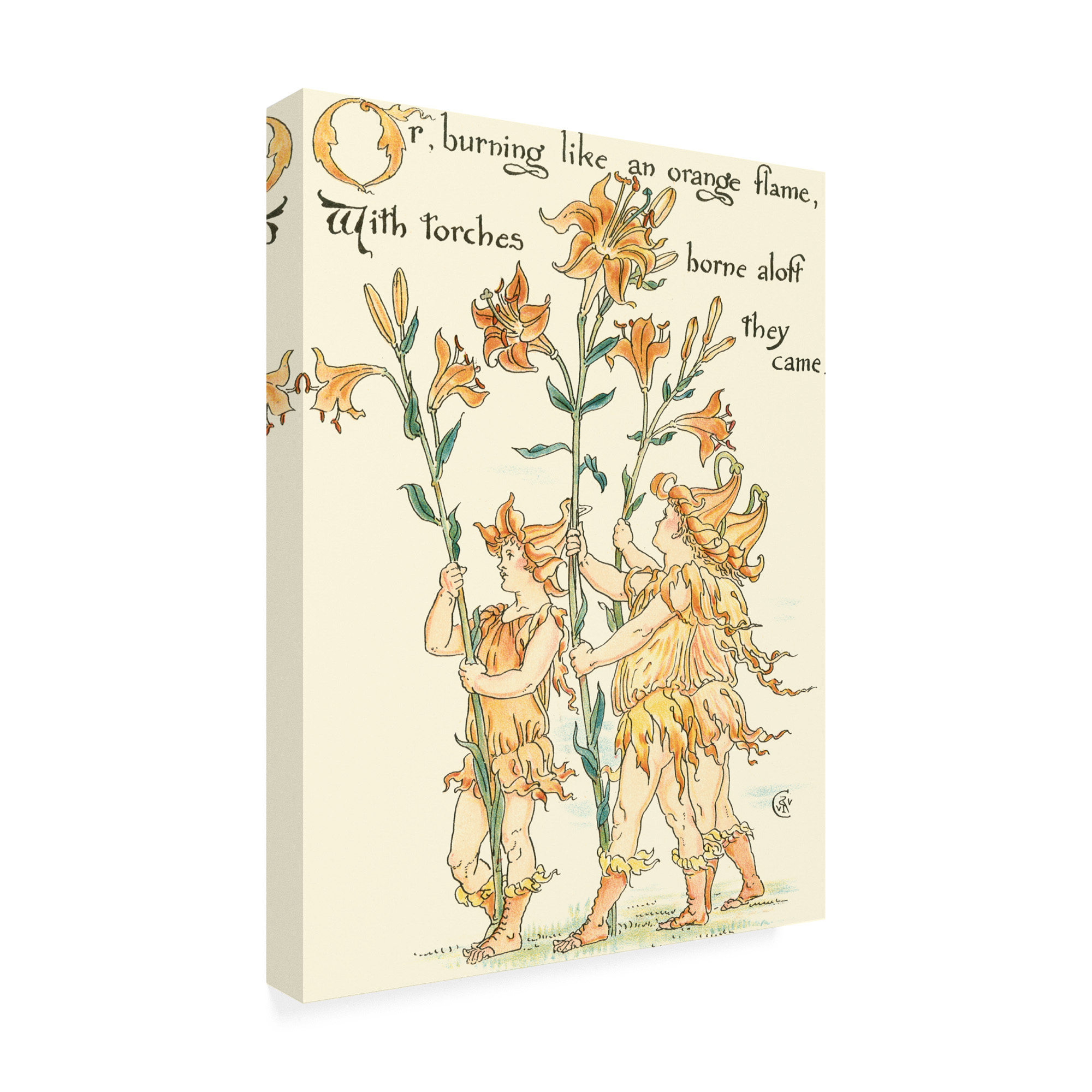 Trademark Fine Art 'Shakespeares Garden VIII (Lily)' Canvas Art by Walter Crane