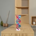 thumbnail image 1 of OULII Dna Model Assorted Color Gene Structure Representation 1 Set, 1 of 8