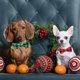 thumbnail image 5 of Paquete de 2 collares navideños para perros, collares clásicos a cuadros estilo búfalo con pajarita extraíble, ajustables, 5 of 5