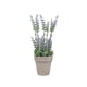 thumbnail image 4 of Matsuzay Purificador de aire y alivio del estrés Arreglo de flores artificiales Arreglo de flores de plástico ecológico Púrpura artificial Type2 NO2, 4 of 6