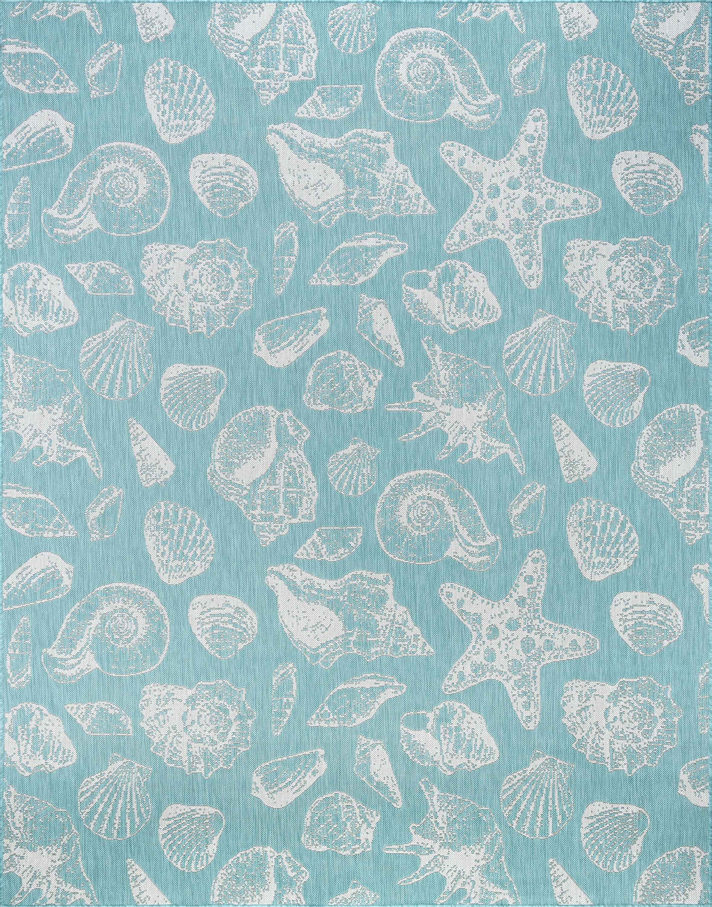 Bliss Rugs Solid Border Indoor Outdoor Area Rug for Patio, Porch, Garden | Aqua, 5'3'' x 7'3''