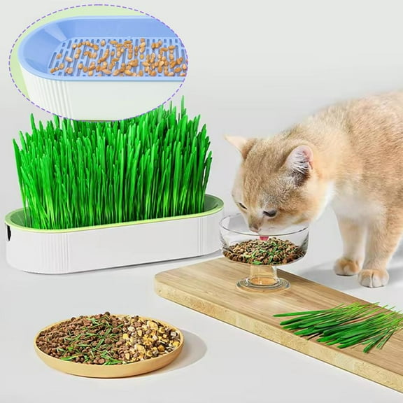 Clerance! PawCasa Hydroponic Cat Grass SoilFr Planter Grass Planting Kit Growing Hot Plant HOTU
