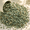 Green Zeolite Rocks-10 Pounds, variant on Red Lava Rock Decorative Stones 5 Pounds Horticultural Craft Aquarium Use