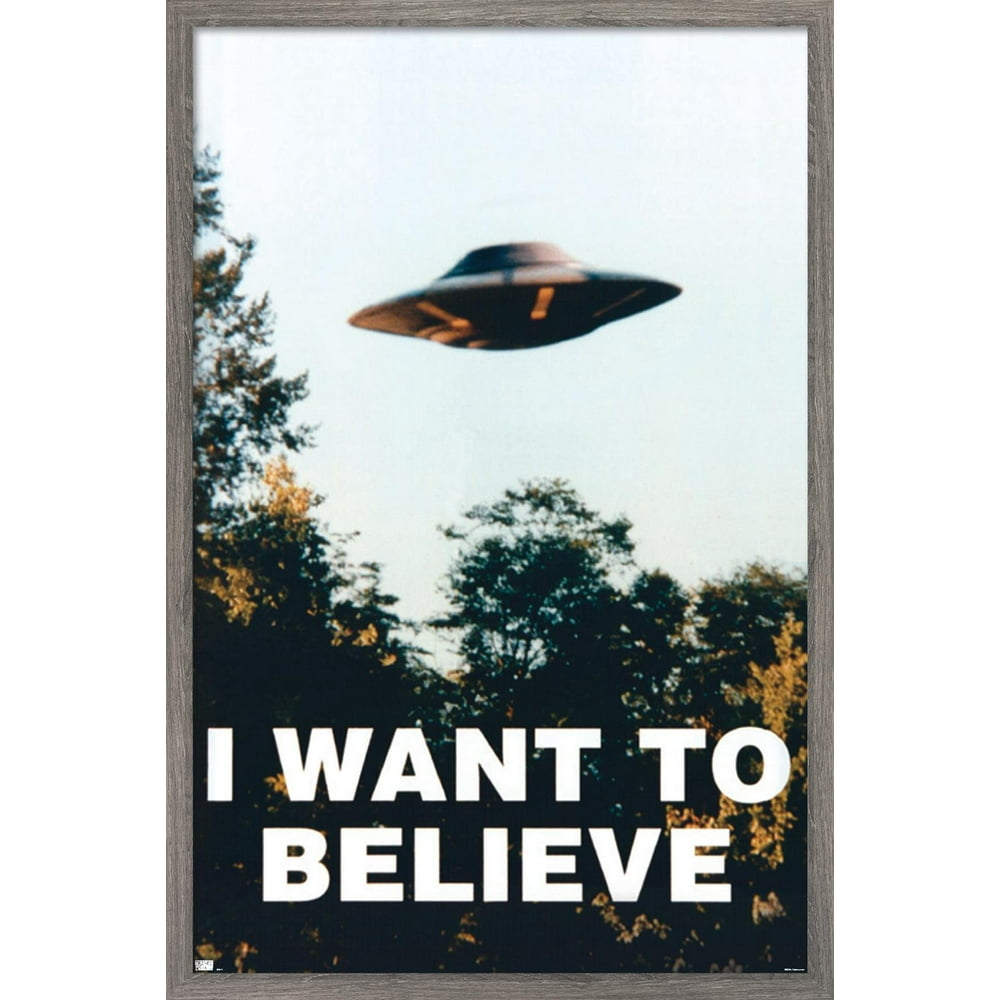 Trends International The XFiles I Want To Believe Wall Poster 16.5" x 24.25" x .75" Barnwood