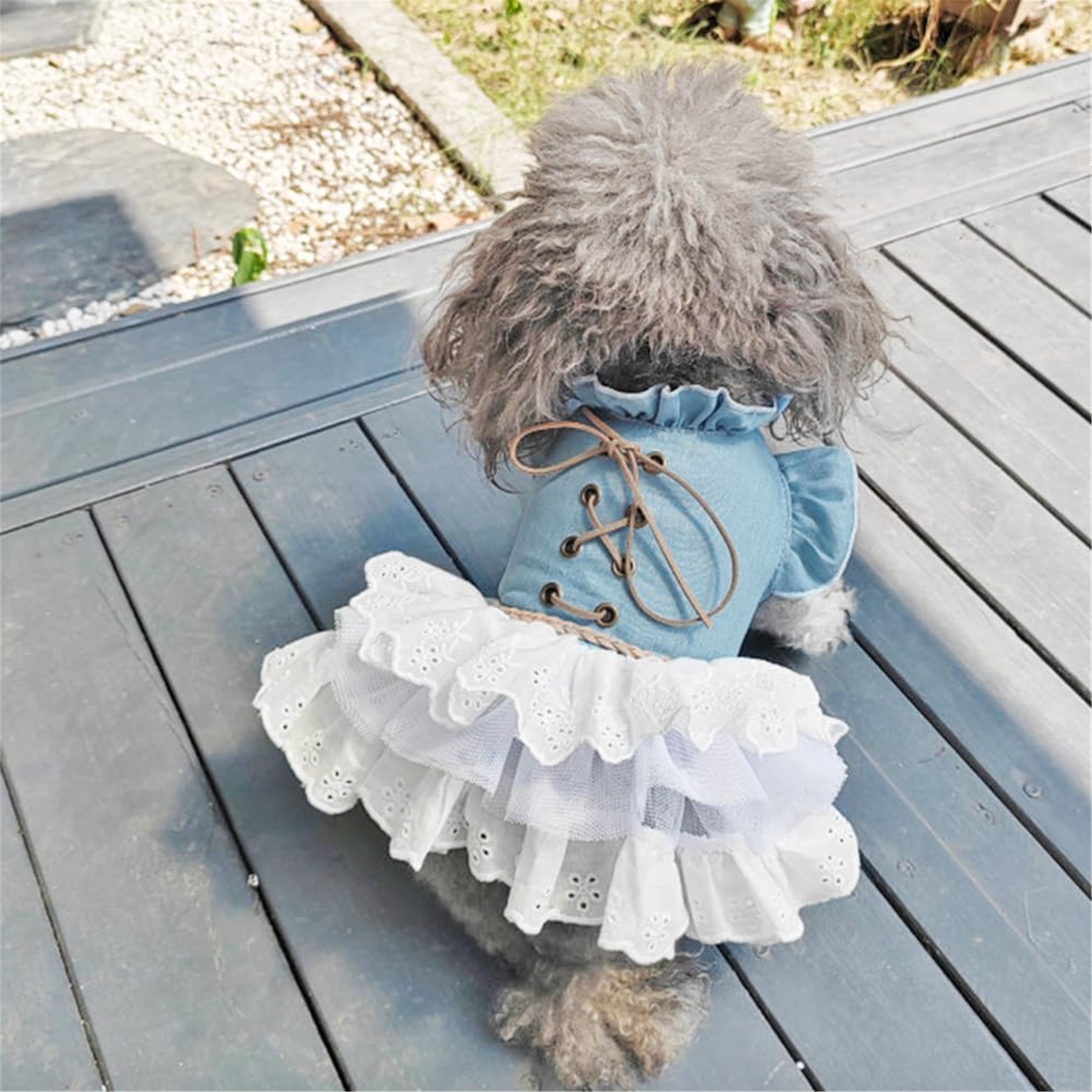 HQREA Girl Dog Denim Dress Sleeves Dog Jeans Jacket Puppy Clothes for Small Dogs Cat Apparel Cake Skirt Pet Outfit
