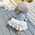 thumbnail image 2 of HQREA Girl Dog Denim Dress with Flared Sleeves for Small Dogs Cat Cake Skirt Pet Outfit, 2 of 6