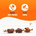 thumbnail image 5 of Good ’n’ Fun Triple Flavor Kabobs, Rawhide Chews for All Dogs, 24 oz, 5 of 10