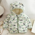thumbnail image 6 of Tisuna Toddler Girls Boys Coat Cartoon Panda Print Long Sleeve Hooded Jacket Cute Fashion Autumn Winter Kids Zipper Clothes Green Size 2-3 Years, 6 of 7