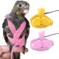 thumbnail image 2 of Bird Harness and Leash Set Lovely Fashion Parrot Harness with Leash, 2 of 7