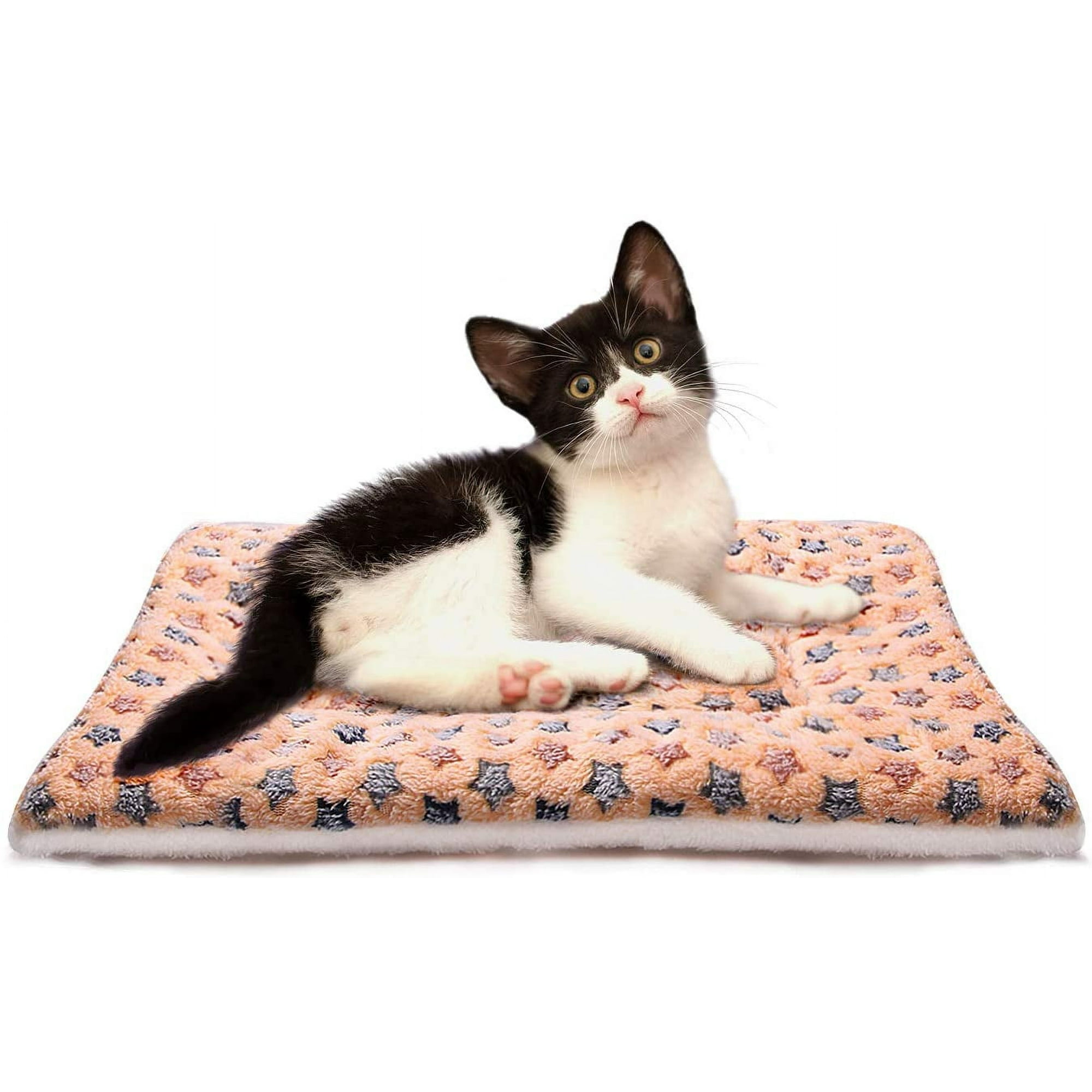 Mgfed Plus Cotton Warm Cotton Pad Small Dog Dog Pad Cat Thickened Velvet Pad Dog Blanket Lamb Fleece Blanket Brown S