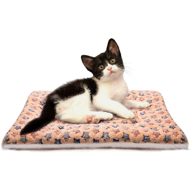 Almohadilla de algodón cálida para perros pequeños, almohadilla de terciopelo engrosada para gatos, manta para perros, manta de lana de cordero
