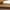 Tan, variant on No Boundaries Women's Leather Flip Flop Sandals