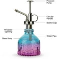 thumbnail image 3 of Visland Glass Plant Mister, Vintage Spray Bottle with Top Pump, Fine Mist Garden Flower Sprayer Watering Can for Indoor Outdoor Succulent House Plant, 3 of 7