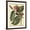 Brown Frame, variant on Art.com Petite Dragonflies V Art Print by Vision Studio, White Frame Wall Art, 32" x 40"