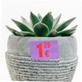 thumbnail image 5 of PinesC 1 Roll Color Thermal Paper Clear Card Label Sticker Thank You Sticker Labels Sticker Printer Paper Thermal Printer Stickers Sealing Small Circle Stickers Color Stickers Tag Purple, 5 of 5