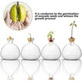 thumbnail image 4 of Avocado Tree Growing Kit,Avocado Seed Starter Vase,Glass Plant Pot with Avocado Stickers,Plant Indoor Grow Gardening Gifts, 4 of 6